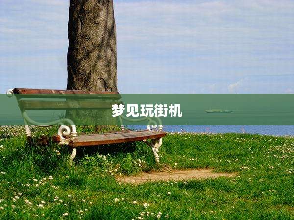 梦见玩街机