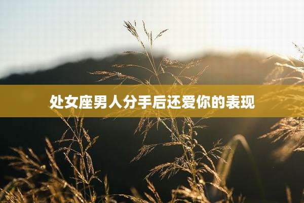 处女座男人分手后还爱你的表现