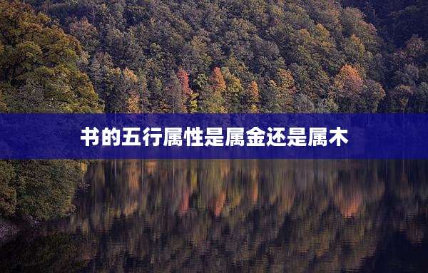 书的五行属性是属金还是属木