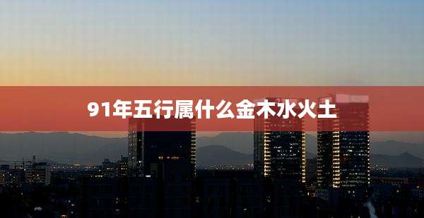 91年五行属什么金木水火土