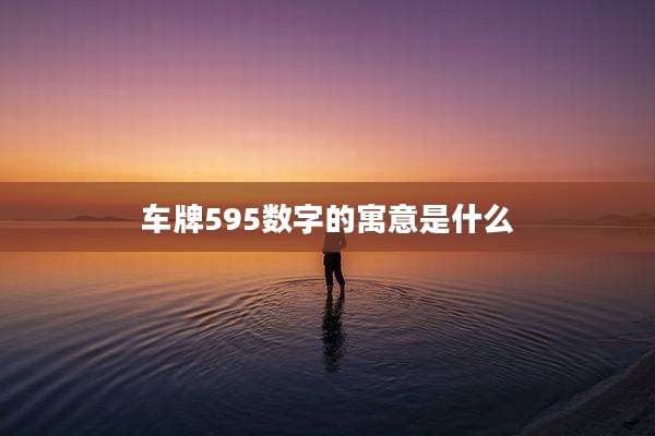 车牌595数字的寓意是什么