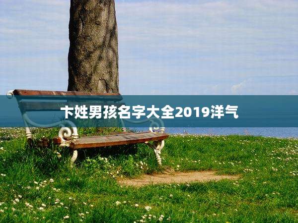 卞姓男孩名字大全2019洋气