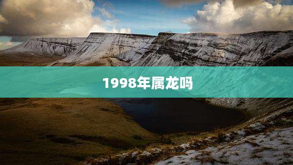 1998年属龙吗
