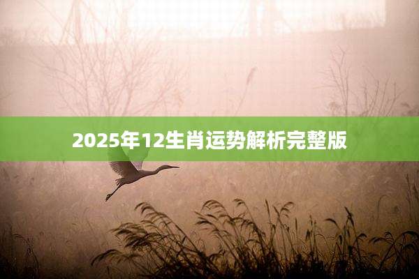 2025年12生肖运势解析完整版