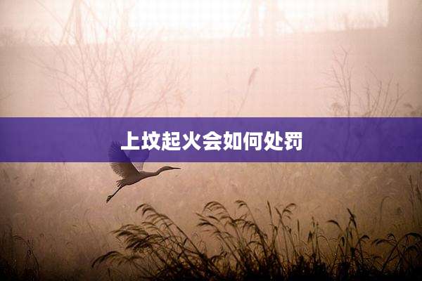 上坟起火会如何处罚