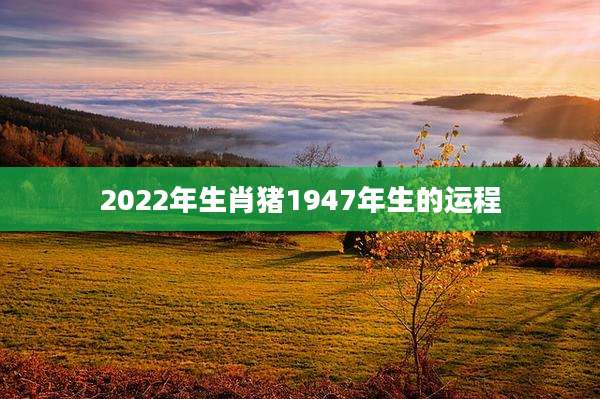 2022年生肖猪1947年生的运程