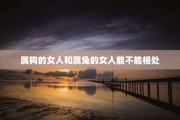 属狗的女人和属兔的女人能不能相处