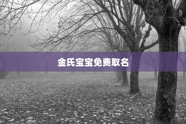 金氏宝宝免费取名
