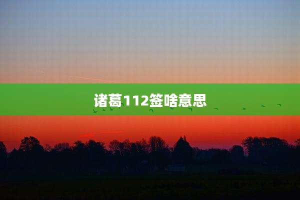 诸葛112签啥意思