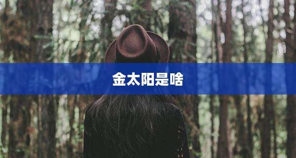 金太阳是啥