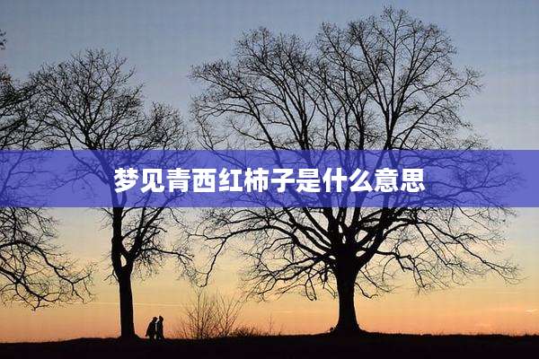梦见青西红柿子是什么意思