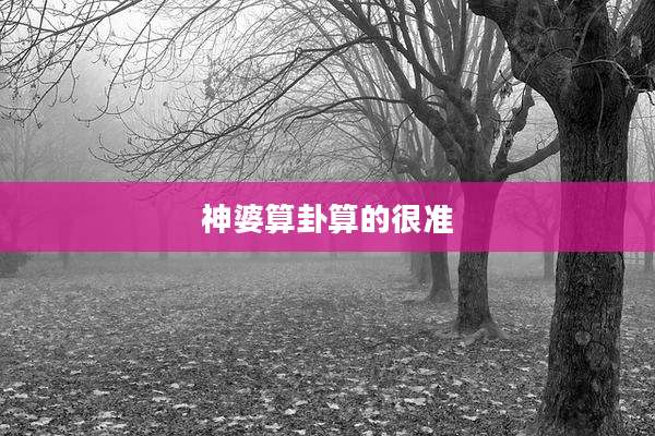 神婆算卦算的很准