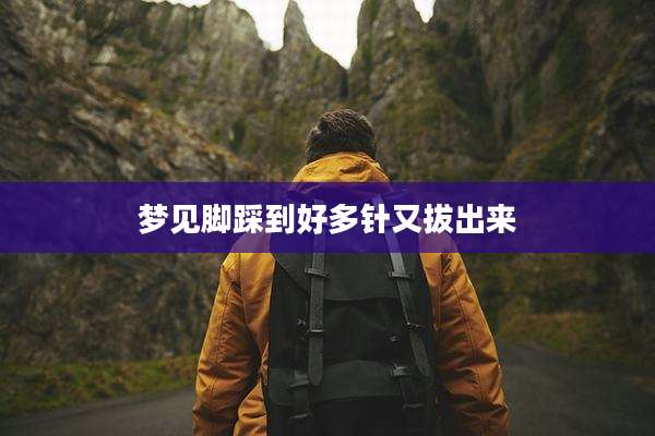 梦见脚踩到好多针又***