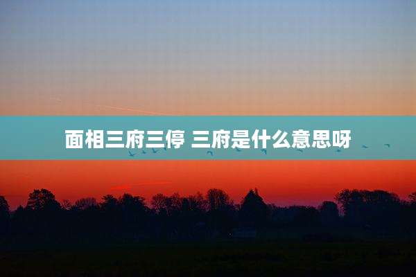 面相三府三停 三府是什么意思呀