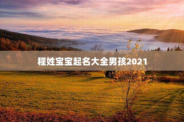 程姓宝宝起名大全男孩2021