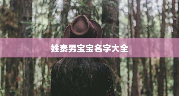 姓秦男宝宝名字大全