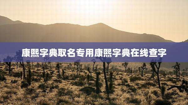 康熙字典取名专用康熙字典在线查字