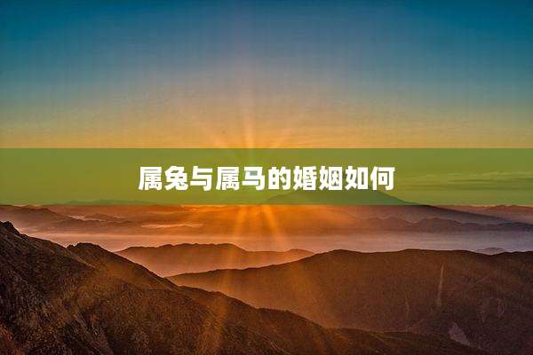 属兔与属马的婚姻如何
