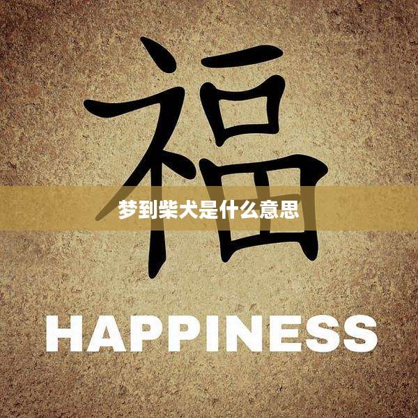 梦到柴犬是什么意思