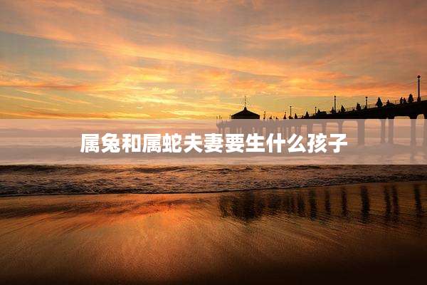 属兔和属蛇夫妻要生什么孩子