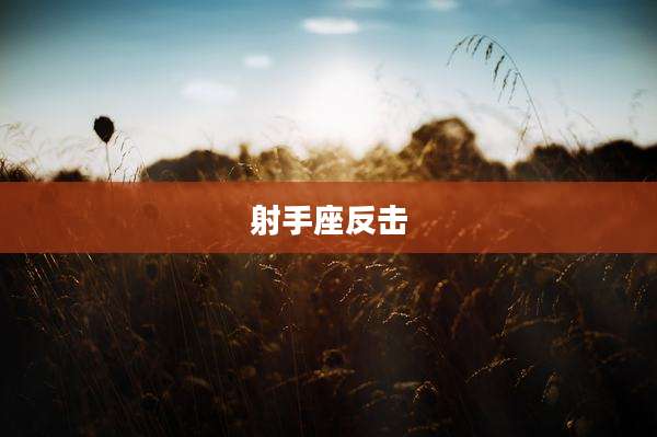 射手座反击