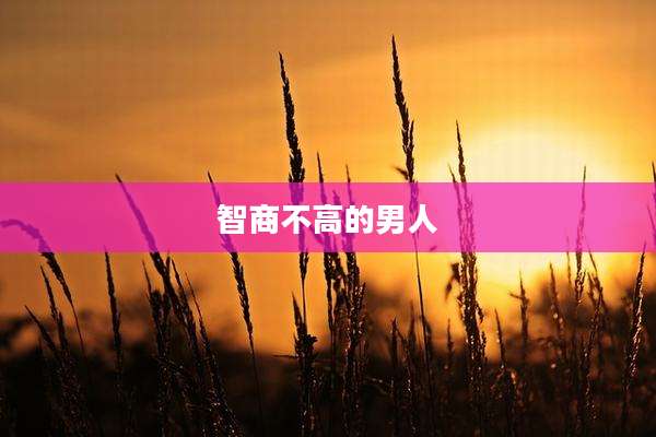 智商不高的男人