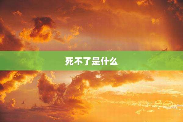死不了是什么