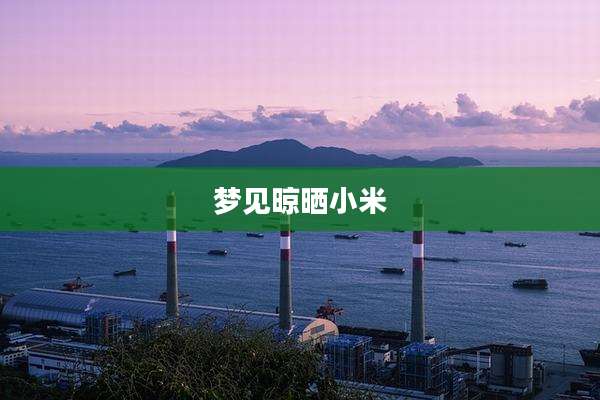 梦见晾晒小米