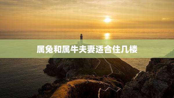 属兔和属牛夫妻适合住几楼