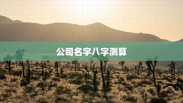公司名字八字测算