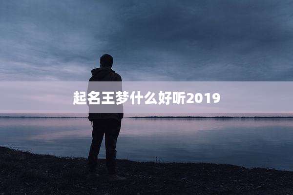 起名王梦什么好听2019