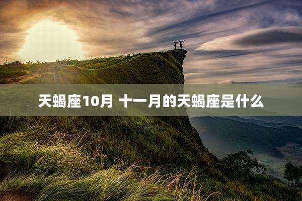 天蝎座10月 十一月的天蝎座是什么