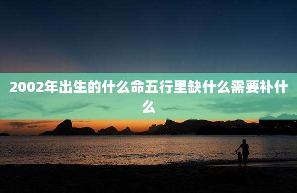 2002年出生的什么命五行里缺什么需要补什么