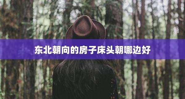 东北朝向的房子床头朝哪边好