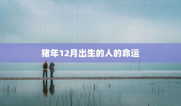 猪年12月出生的人的命运