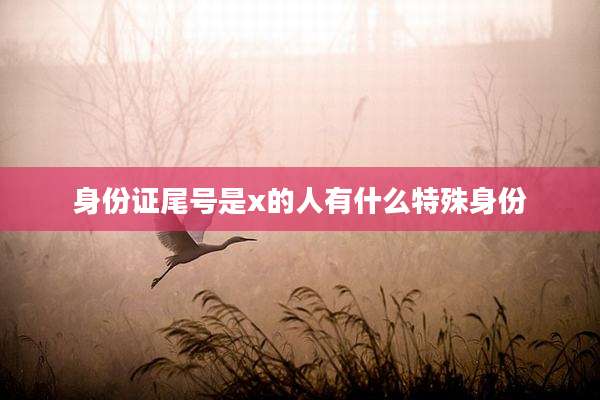 身份证尾号是x的人有什么特殊身份