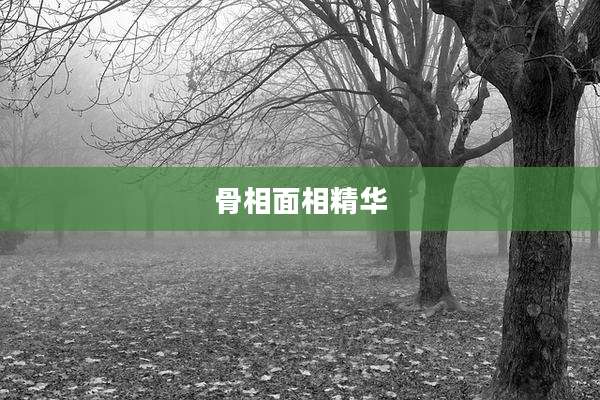 骨相面相精华