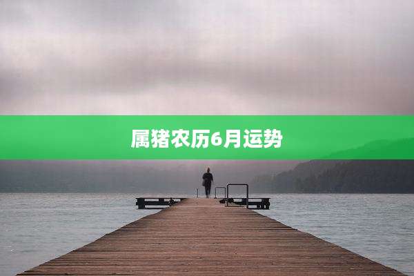 属猪农历6月运势