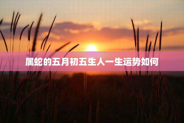 属蛇的五月初五生人一生运势如何