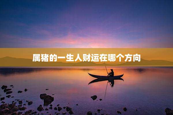 属猪的一生人财运在哪个方向