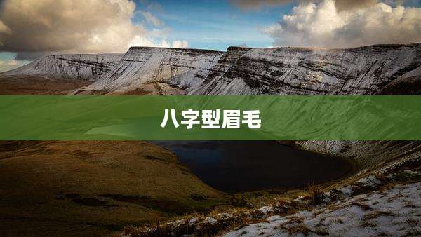 八字型眉毛
