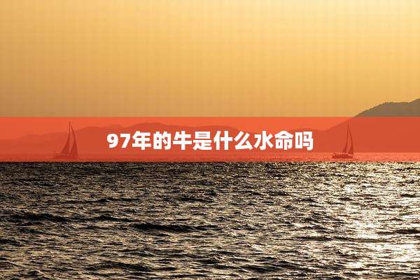 97年的牛是什么水命吗
