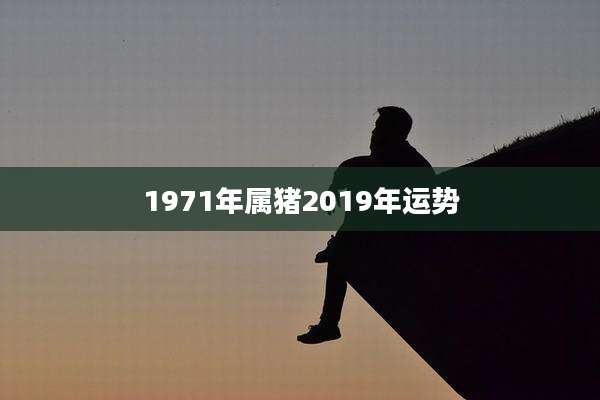 1971年属猪2019年运势