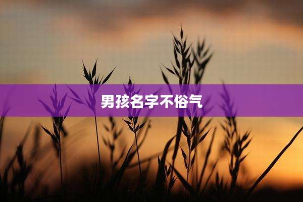 男孩名字不俗气