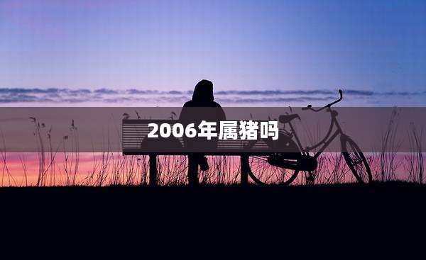 2006年属猪吗