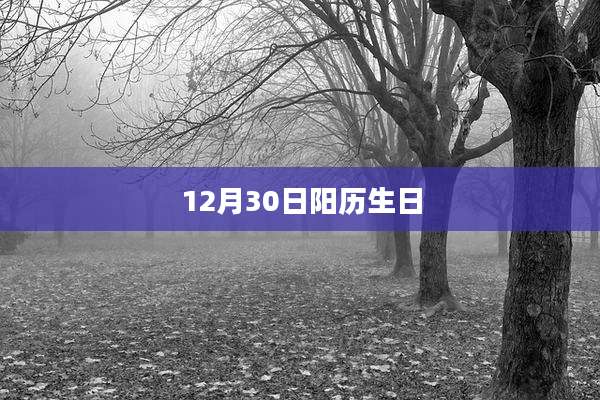 12月30日阳历生日