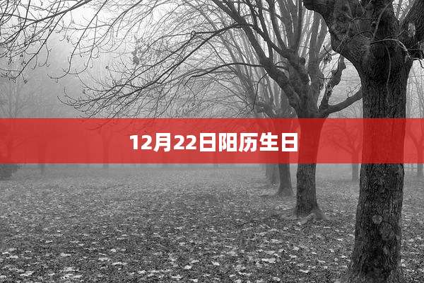 12月22日阳历生日