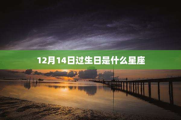 12月14日过生日是什么星座