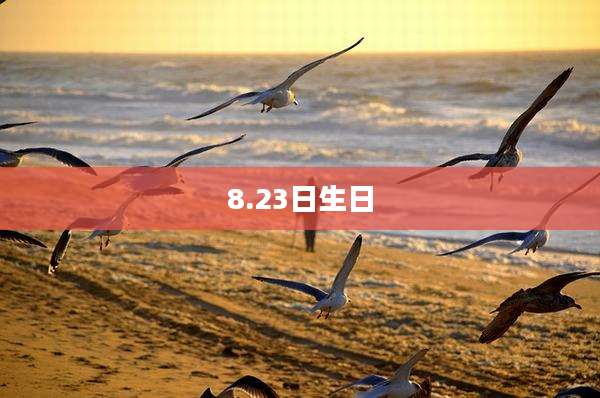 8.23日生日