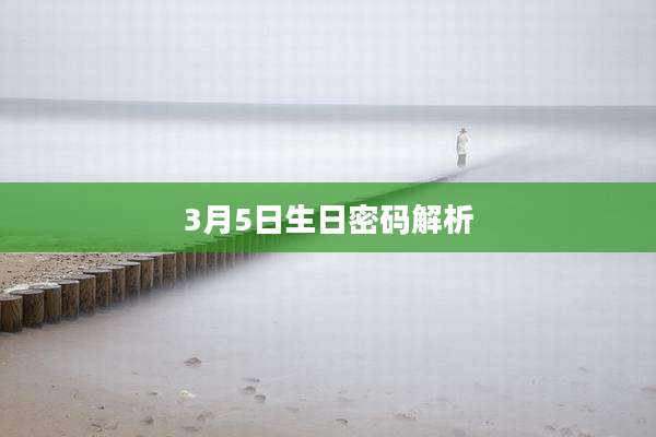 3月5日生日密码解析